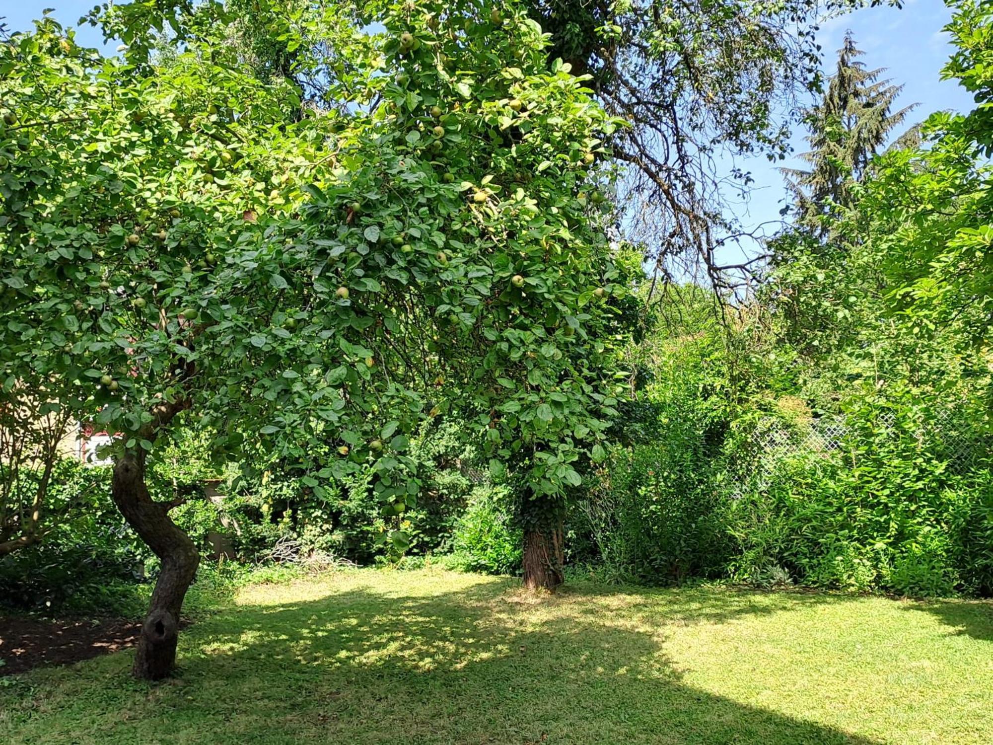 Apartament Nostalgie-Nest Mit Boxspringbett Mayen Zewnętrze zdjęcie